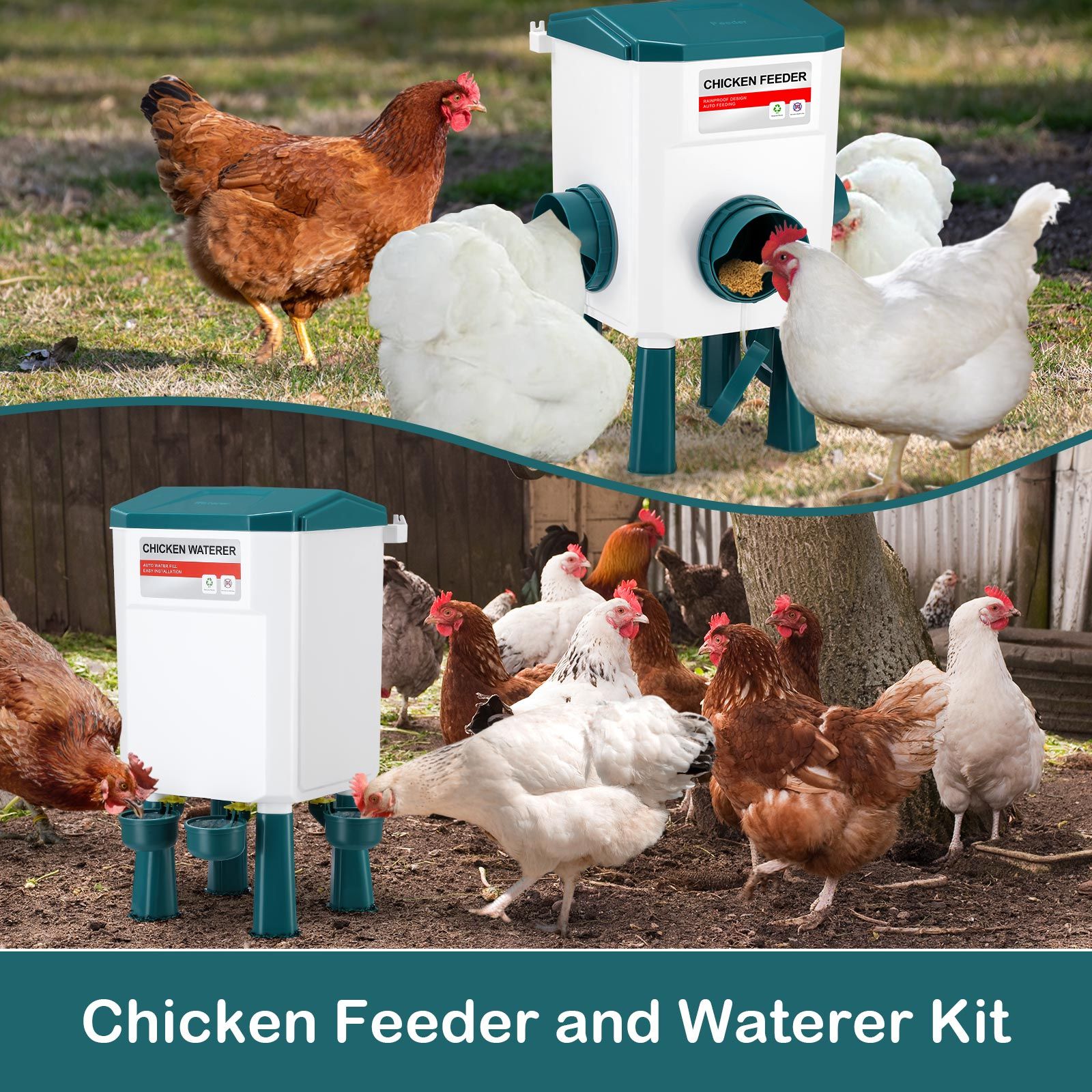 Chicken Water Feeder Treadle Poultry Feeding 12KG Large Capacity 11L