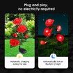 2 Pcs Solar Flower Lights Outdoor Garden Red Rose Stake Lamps LED Pathway Walkway Driveway Patio Yard Lawn Luminous Festive Home Decoration