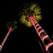 Solar Rope Lights Outdoor Waterproof LED 100pcs String Lighting Candy Colour Decoration Holiday Christmas Party Home