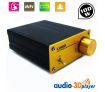 100 W Digital Power Hifi Amplifier With Stereo 2.1