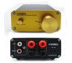 50W Digital Power Amplifier Hifi Amplifier With Stereo