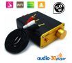 50W Digital Power Amplifier Hifi Amplifier With Stereo