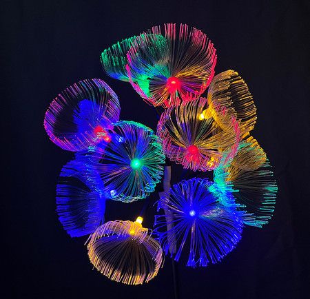 https://img.bestdeals.co.nz/products_pictures/650/65018_617680_F.jpg