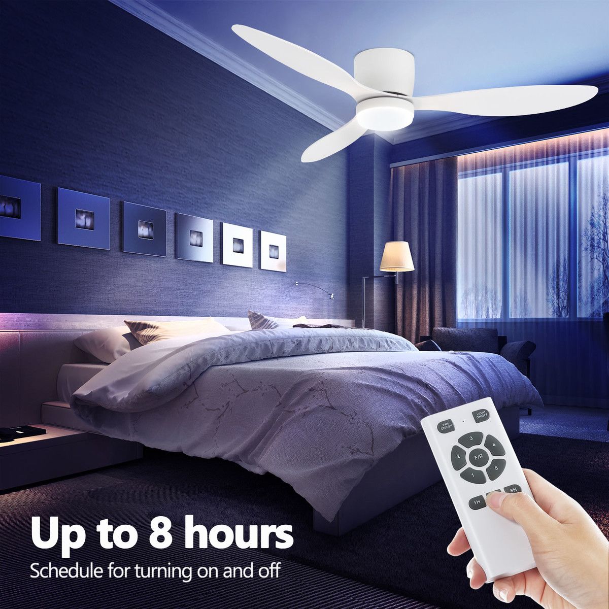 https://img.bestdeals.co.nz/products_pictures/650/65072_618245_F.jpg