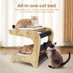 Cat Scratching Post Toy Bed Kitten Scratcher Couch Stool Scratchboard Lounger Pet Wooden Furniture Sofa Chair Play Gym Tower Tree Pad Cushion