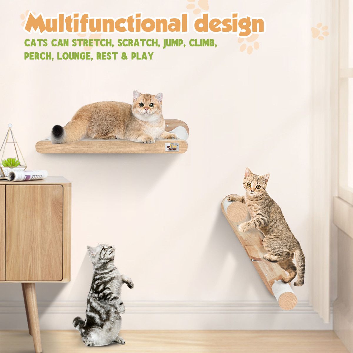 https://img.bestdeals.co.nz/products_pictures/651/65120_618734_F.jpg