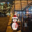 30x70cm Lighted Penguin 40-LED Lighted, Battery Operated Lawn Decoration Christmas Decorations Indoor Outdoor