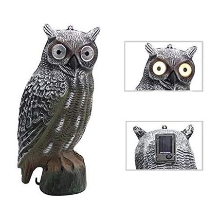 https://img.bestdeals.co.nz/products_pictures/654/65401_621536_F.jpg