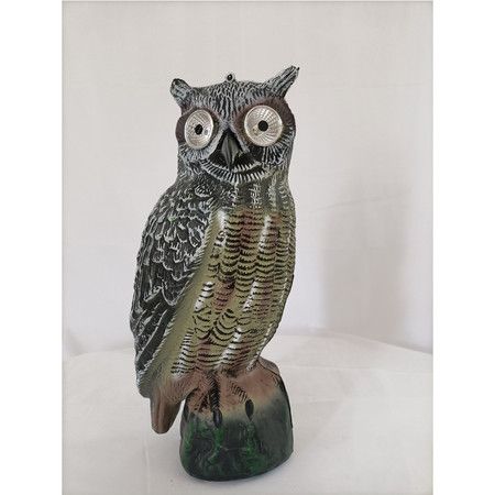 https://img.bestdeals.co.nz/products_pictures/654/65401_621537_F.jpg