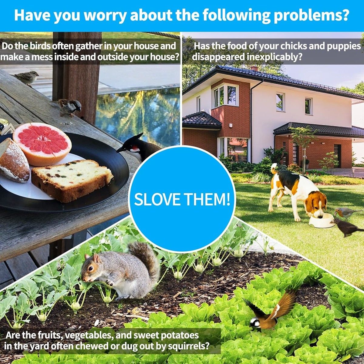 https://img.bestdeals.co.nz/products_pictures/654/65402_621545_F.jpg