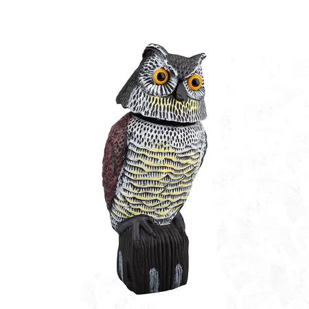 https://img.bestdeals.co.nz/products_pictures/654/65402_621546_F.jpg