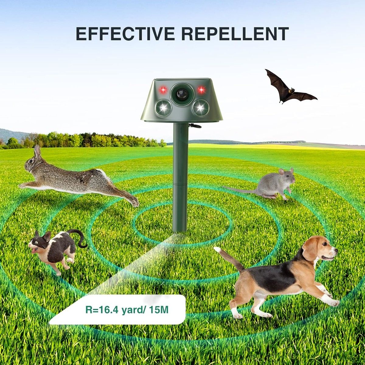 https://img.bestdeals.co.nz/products_pictures/654/65406_621582_F.jpg