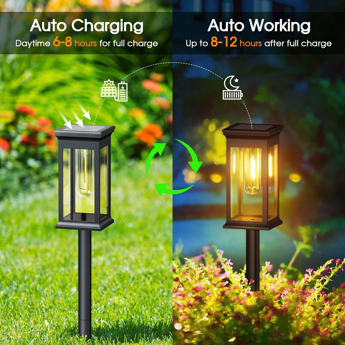 https://img.bestdeals.co.nz/products_pictures/654/65452_622006_F.jpg