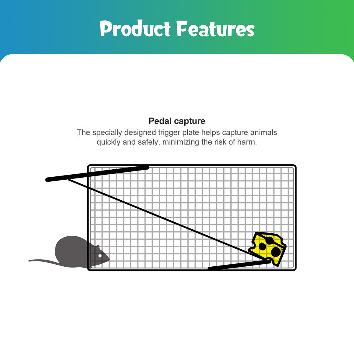 https://img.bestdeals.co.nz/products_pictures/655/65518_622800_F.jpg