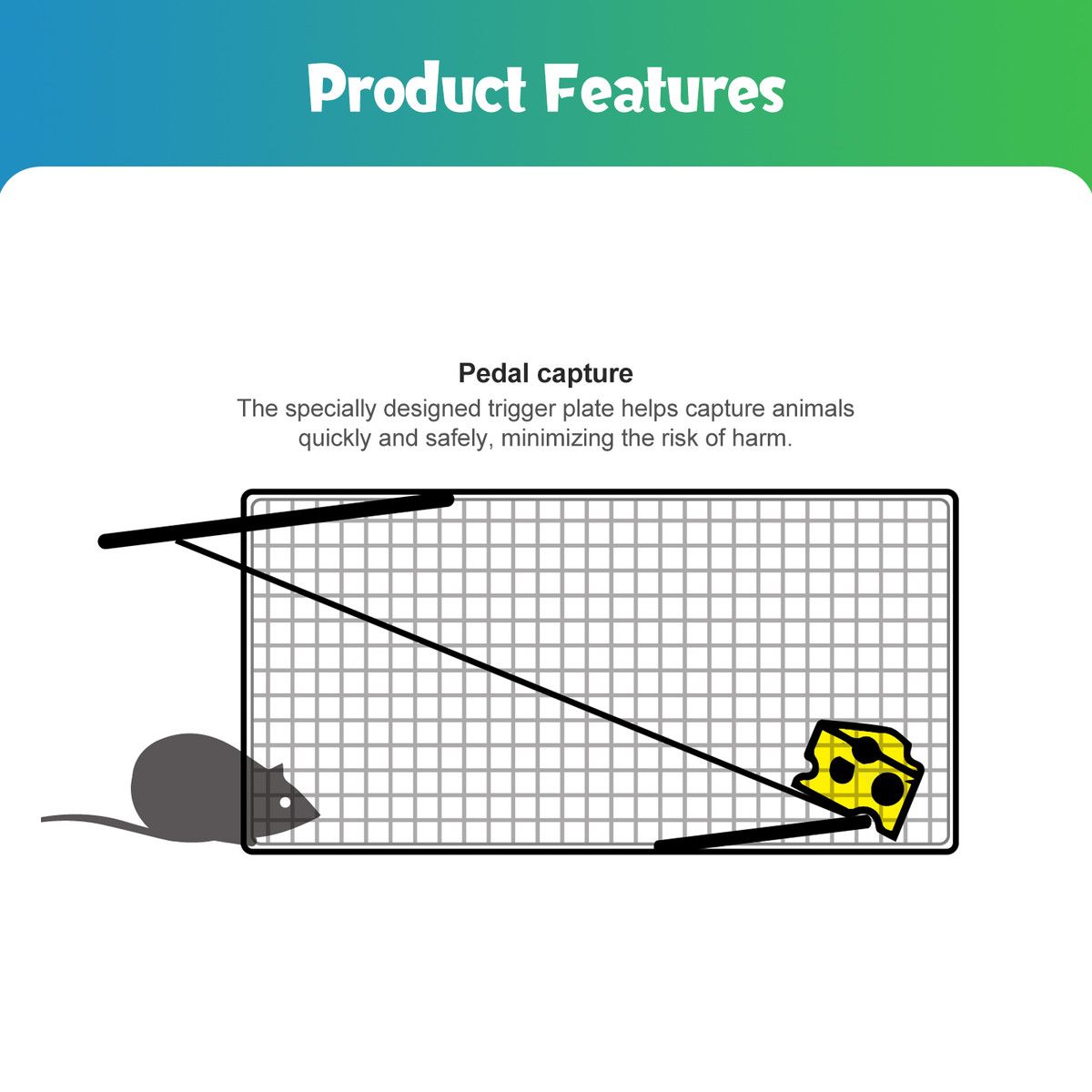 https://img.bestdeals.co.nz/products_pictures/655/65519_622827_F.jpg