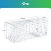 Possum Trap Animal Humane Bird Rabbit Mouse Cat Cage Live Safe Catch Racoon Groundhog Armadillo Dog Hare