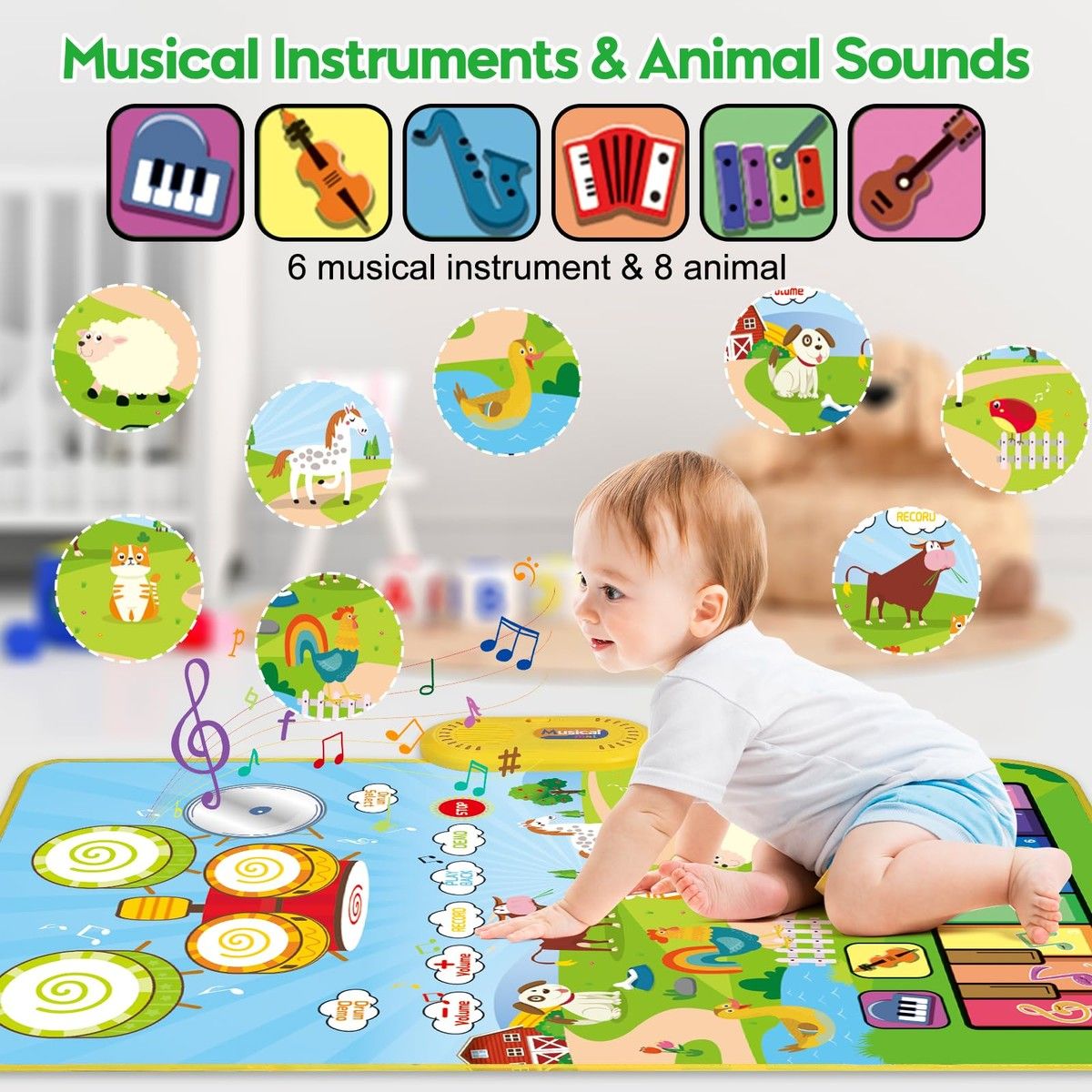https://img.bestdeals.co.nz/products_pictures/655/65594_623569_F.jpg