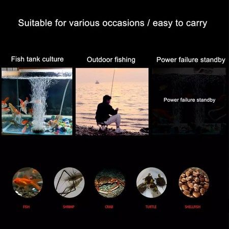 https://img.bestdeals.co.nz/products_pictures/657/65706_624451_F.jpg