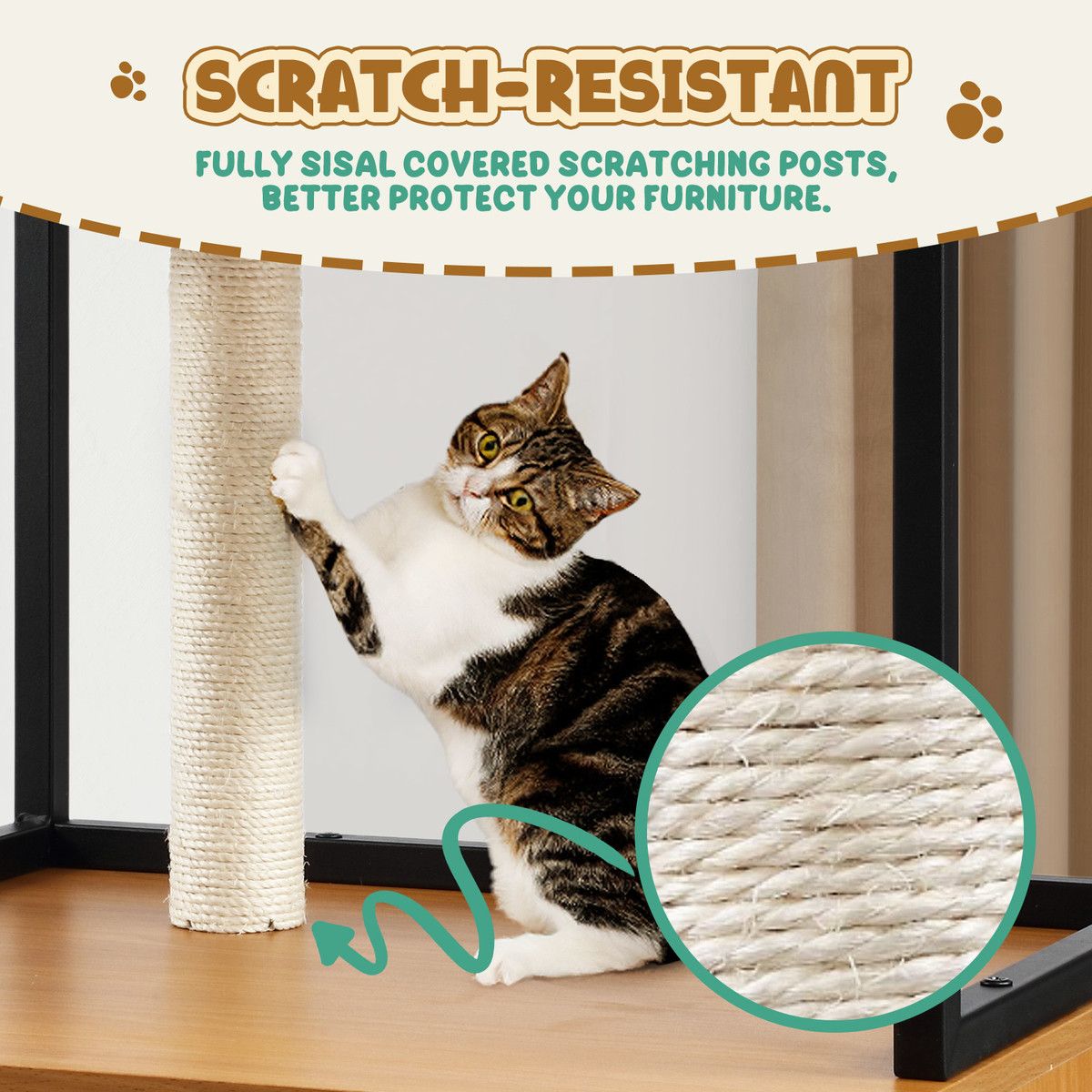 https://img.bestdeals.co.nz/products_pictures/657/65723_624689_F.jpg
