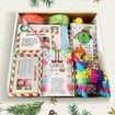 Elf on the Shelf Christmas Countdown Kit 24 Days of Holiday Activities and Elf Adventures Perfect Christmas Gift for Kids