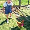 Chicken Harness with Leash,Upgraded Double Adjustment Chicken Harness and Leash Set for Hens,Duck,Goose,Small Pet (Pink,S)