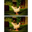Chicken Egg lamp, 3D Chicken Table lamp,A Christmas Birthday Gift for Friends