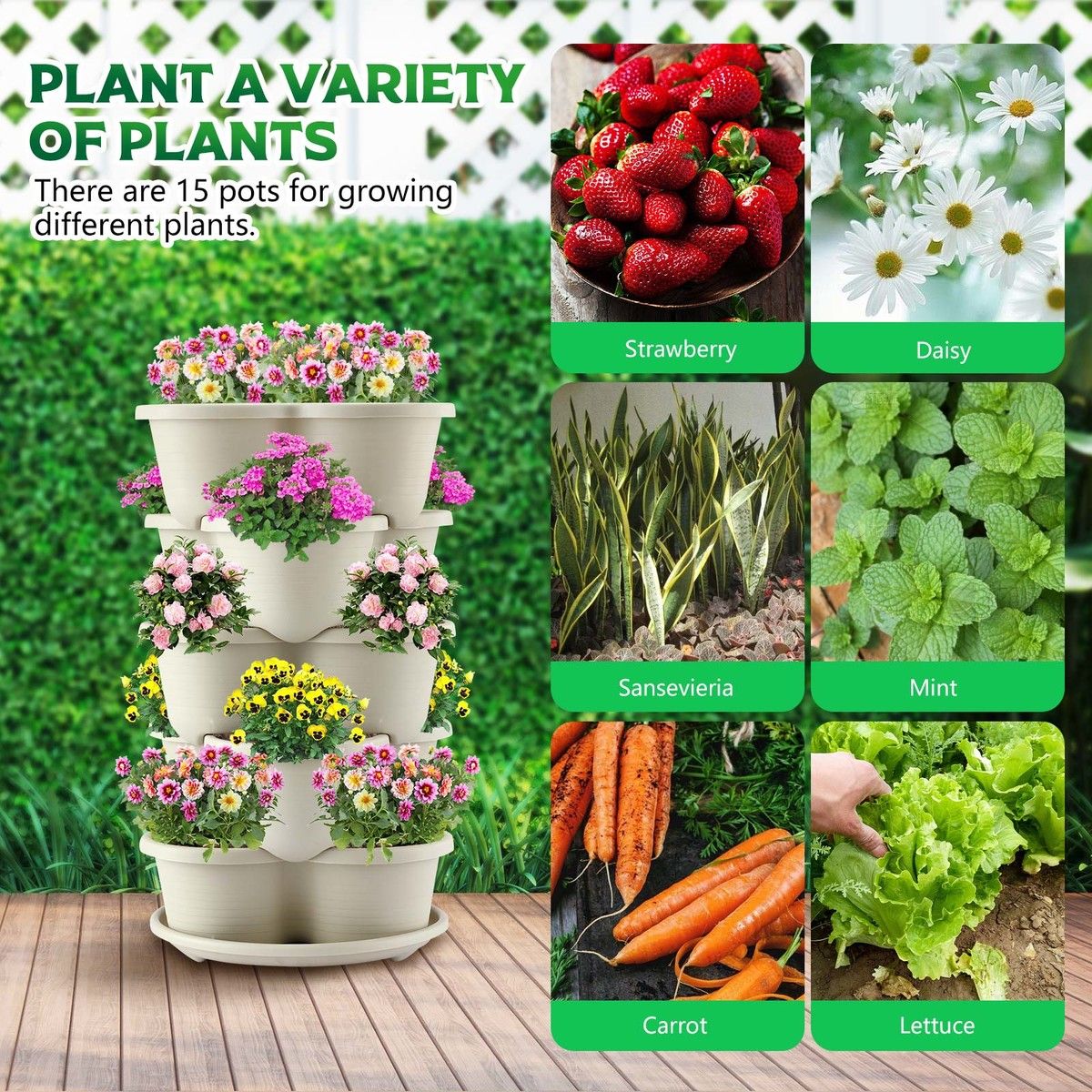 https://img.bestdeals.co.nz/products_pictures/662/66282_629210_F.jpg