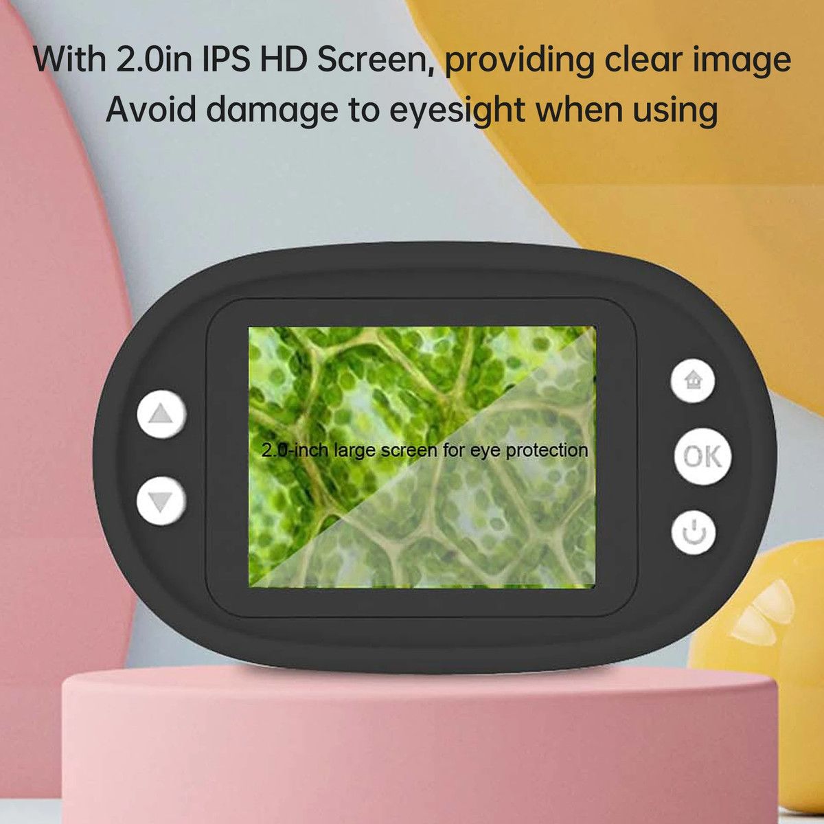 https://img.bestdeals.co.nz/products_pictures/666/66624_632461_F.jpg