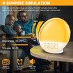Wake Up Light Sunrise Alarm Clock Dual Alarms Sunset Simulation Heavy Sleepers FM Radio 7 Nature Sounds Snooze 7 Colour Night Light Kids