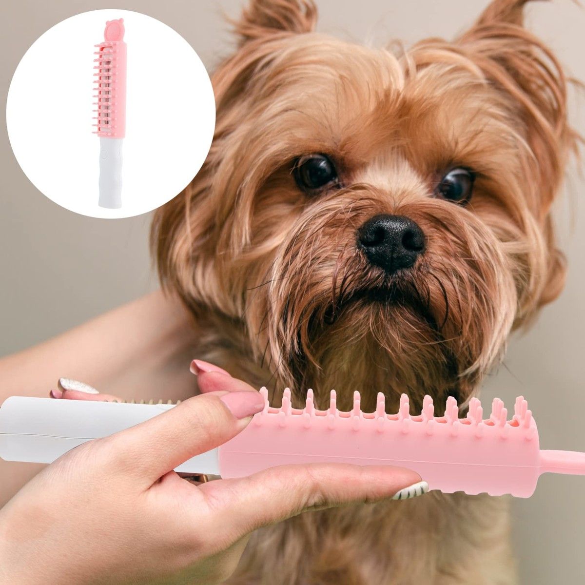 https://img.bestdeals.co.nz/products_pictures/667/66722_633505_F.jpg