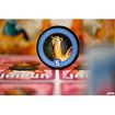 Jaipur Board Game, Strategy Game for Adults and Kids Ages 10+