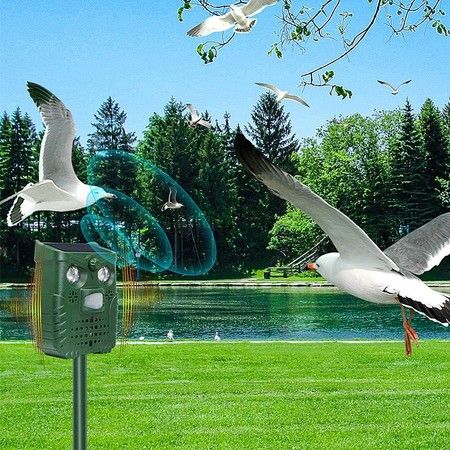https://img.bestdeals.co.nz/products_pictures/669/66902_635622_F.jpg