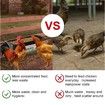 1 Pack Chicken Feeder Box Feed Trough and Waterer Bucket with Clips for Goat Duck Turkey Sheeple Pig Horse Chicken Deer Goose, Goat Feeder Supplies Color Orange