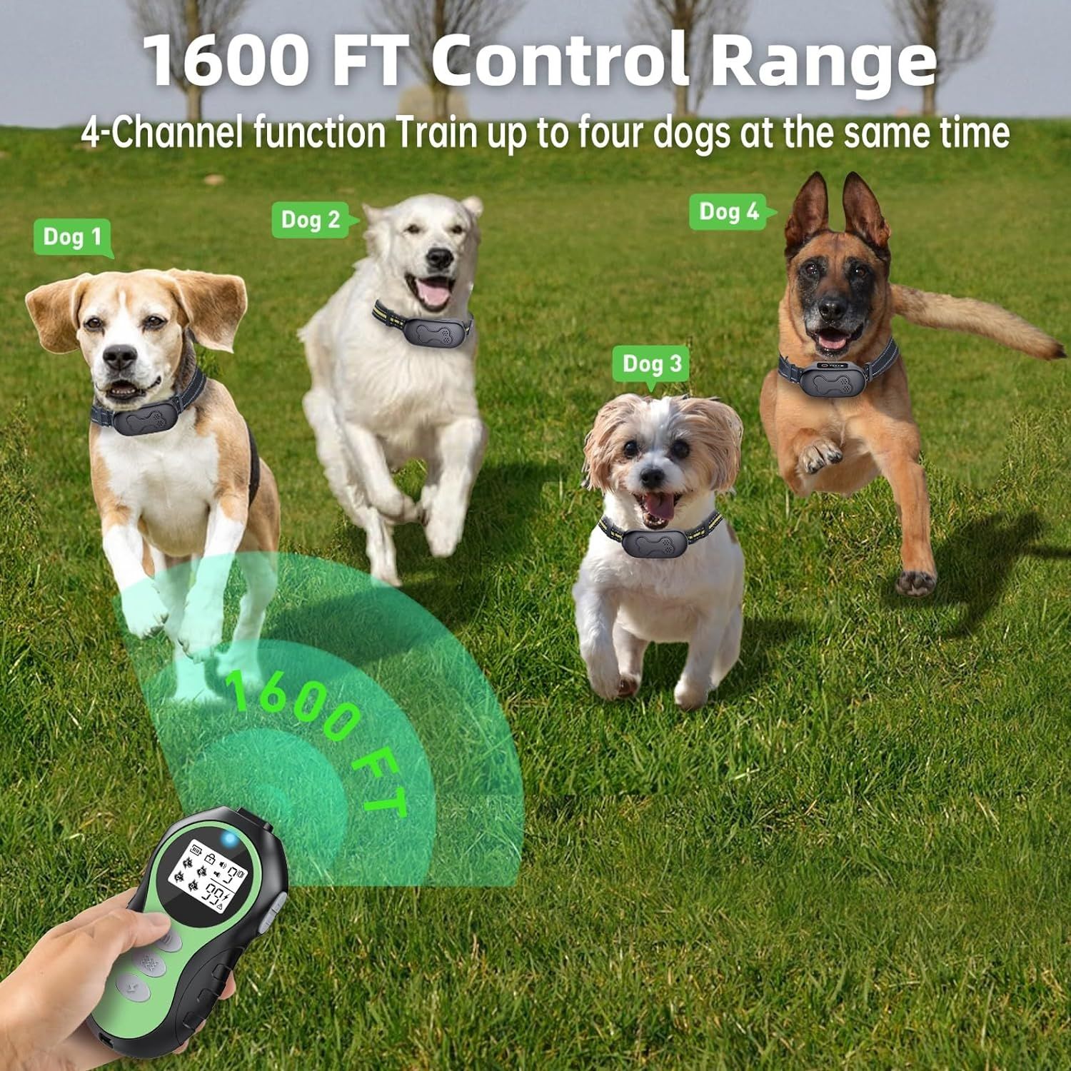 Dog Shock Collar for 2 Dogs, Remote Control Dog Training Collar for Large, Medium and Small Dogs