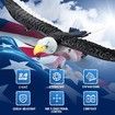 RC Plane, Remote Control Eagle Plane,RTF Airplane,2.4GHZ 2CH Flying Bird with 2 Batteries & Propeller 6-axis Gyro Stabilizer,Easy to Fly