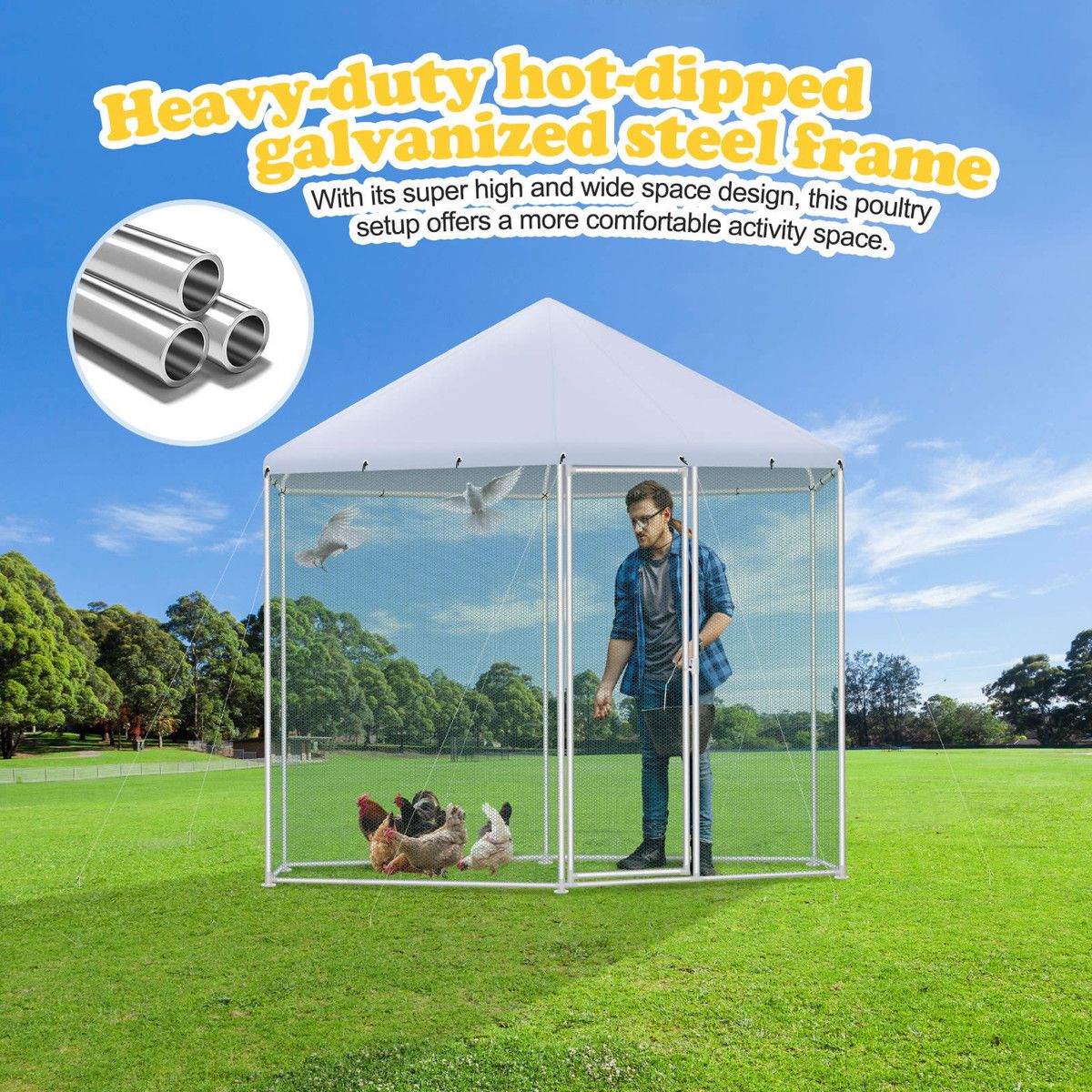 https://img.bestdeals.co.nz/products_pictures/674/67420_641200_F.jpg