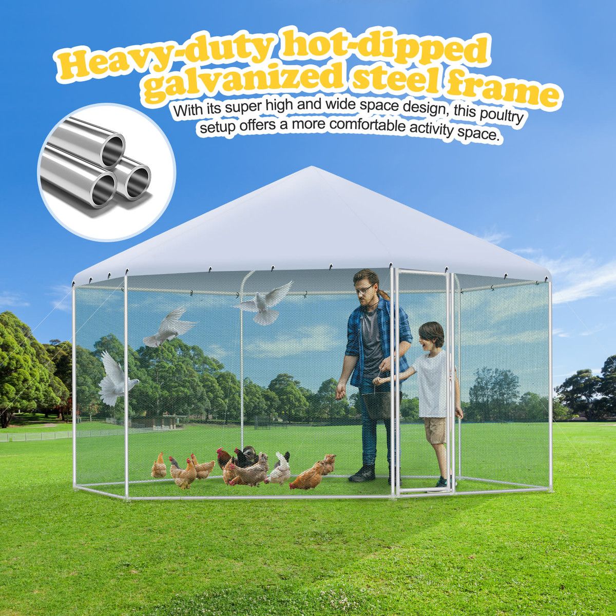https://img.bestdeals.co.nz/products_pictures/674/67421_641221_F.jpg