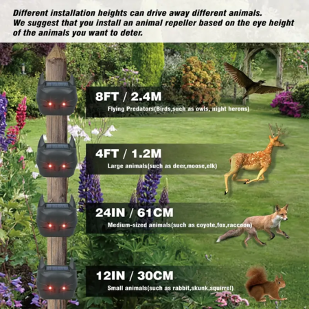 https://img.bestdeals.co.nz/products_pictures/674/67448_641656_F.png