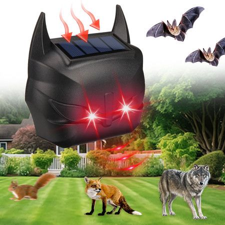 https://img.bestdeals.co.nz/products_pictures/674/67448_641658_F.jpg