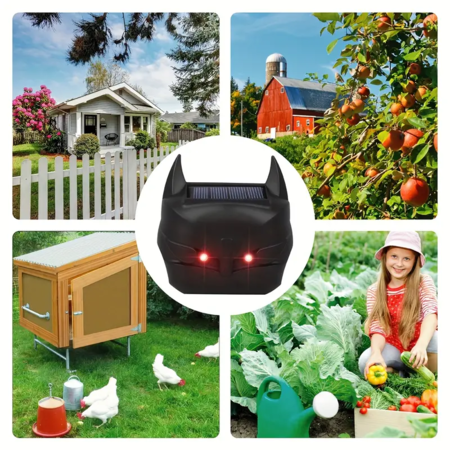 https://img.bestdeals.co.nz/products_pictures/674/67448_641660_F.png