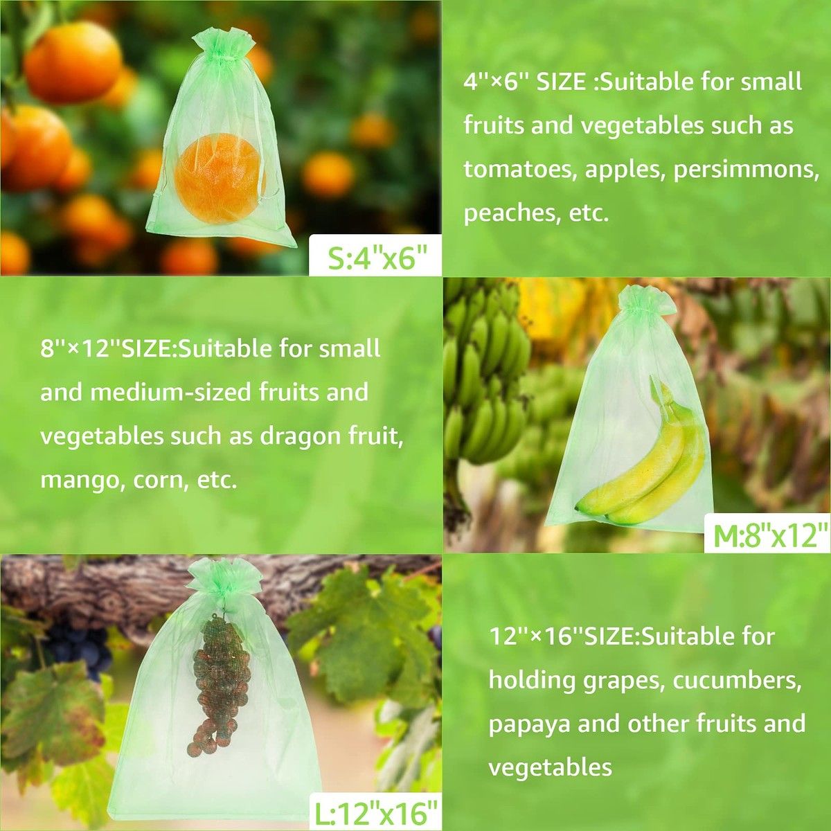 https://img.bestdeals.co.nz/products_pictures/675/67502_642119_F.jpg