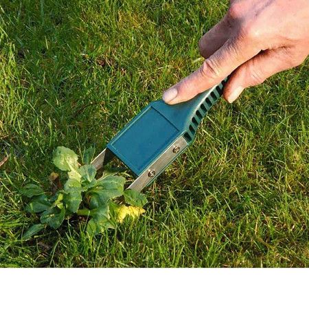 https://img.bestdeals.co.nz/products_pictures/675/67504_642146_F.jpg