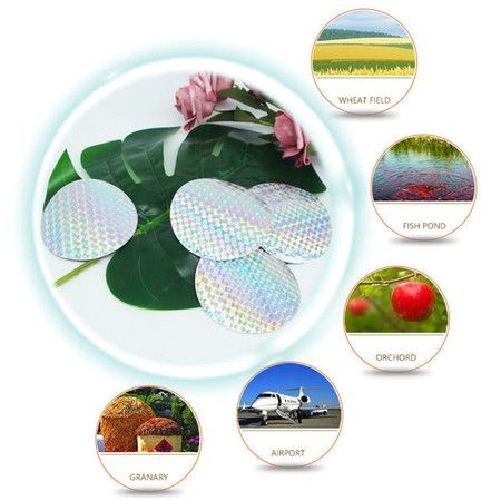 https://img.bestdeals.co.nz/products_pictures/675/67531_642436_F.jpg