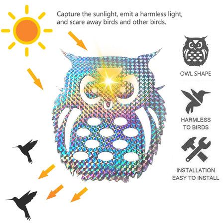 https://img.bestdeals.co.nz/products_pictures/675/67531_642439_F.jpg
