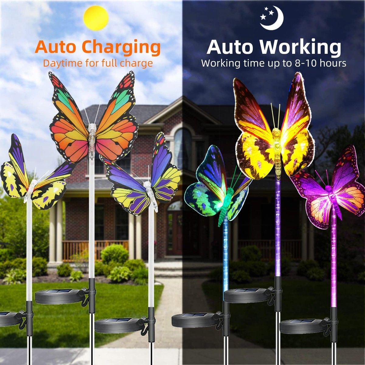 https://img.bestdeals.co.nz/products_pictures/677/67739_644709_F.jpg