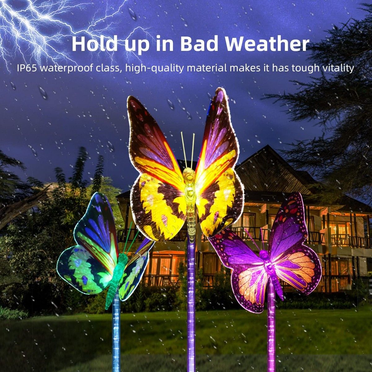 https://img.bestdeals.co.nz/products_pictures/677/67739_644710_F.jpg