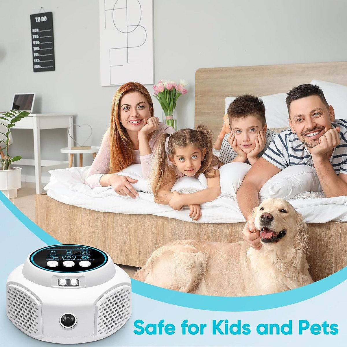 https://img.bestdeals.co.nz/products_pictures/678/67803_645264_F.jpg