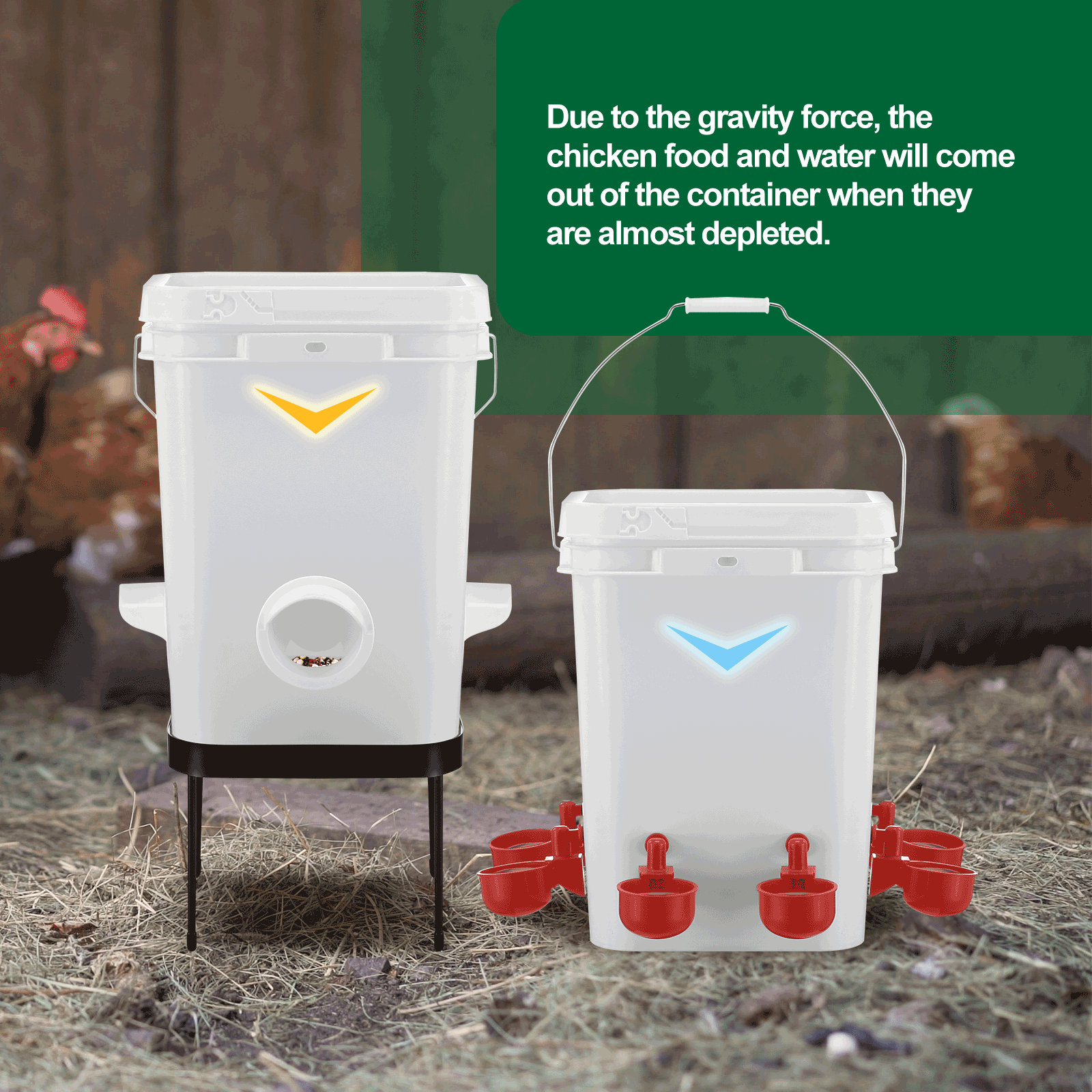Chicken Bird Feeder Waterer Set Auto Food Water Dispenser Automatic