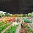 5M*6M Sun Protection Net for Garden Patio, Shade Sails for Plants, Greenhouse, Outdoor Pergola, Lawn, Cloths for Kennel, Chicken Coop, Easier to Hang, Shade Net Cover