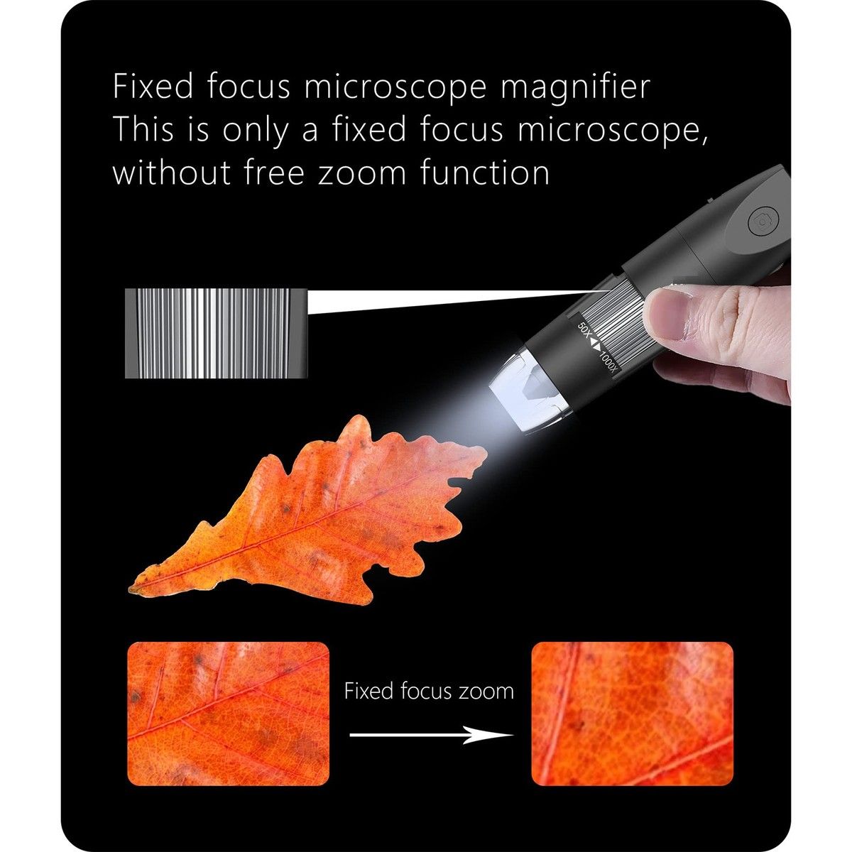 https://img.bestdeals.co.nz/products_pictures/680/68040_648337_F.jpg